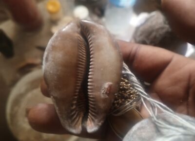 IMG202509061335580461772189498