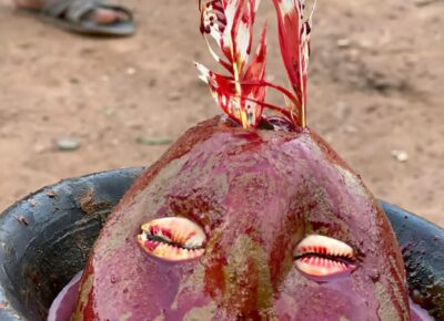 IMG20260123WA00001772189992